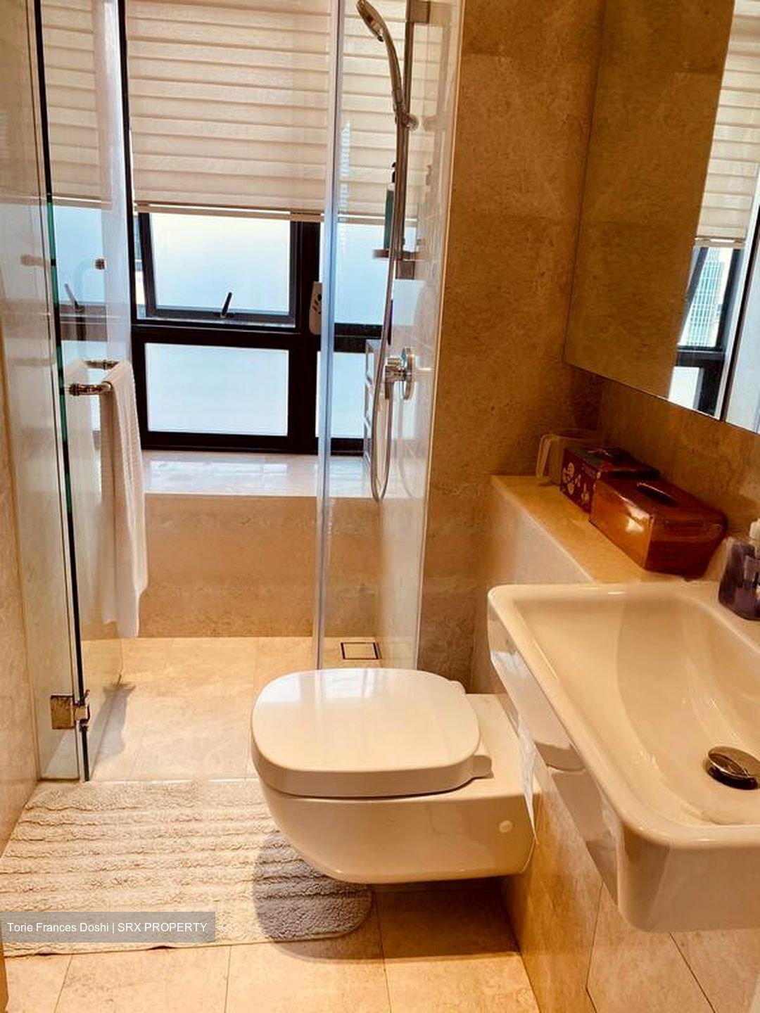 Trilight (D11), Condominium #466621481